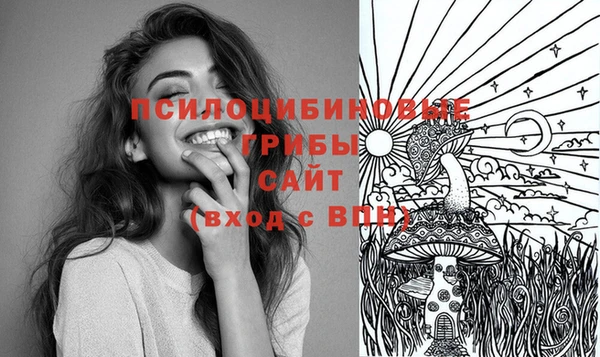 твердый Мегион