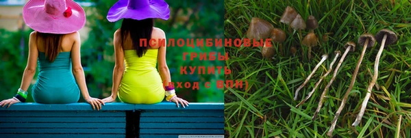 молекула духа Магас