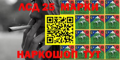 spice Берёзовский