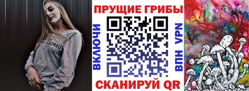 Галлюциногенные грибы Magic Shrooms  KRAKEN   Тында 
