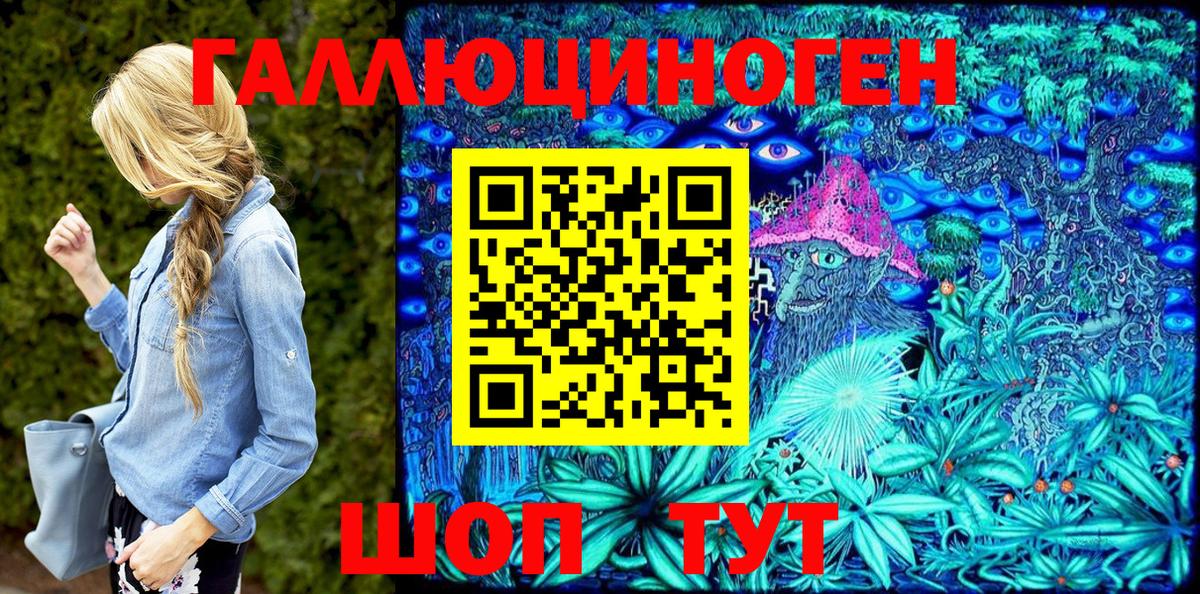 Тында  Псилоцибиновые грибы Psilocybine cubensis  Вход с VPN 