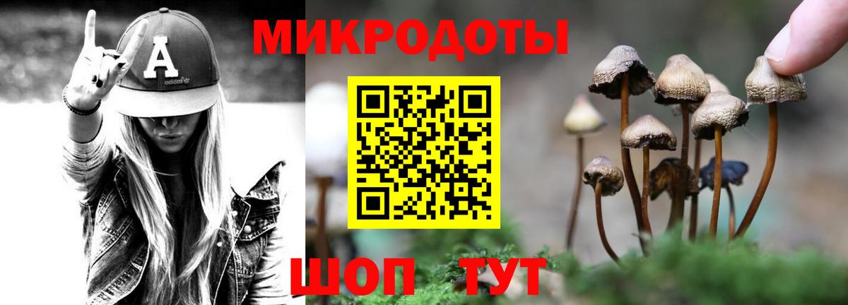 Галлюциногенные грибы Cubensis  Галлюциногенные грибы Psilocybine cubensis  Тында 