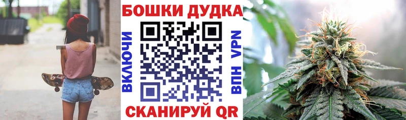 Конопля планчик Тында