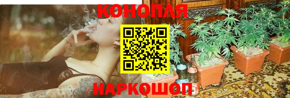 Шишки марихуана конопля Тында